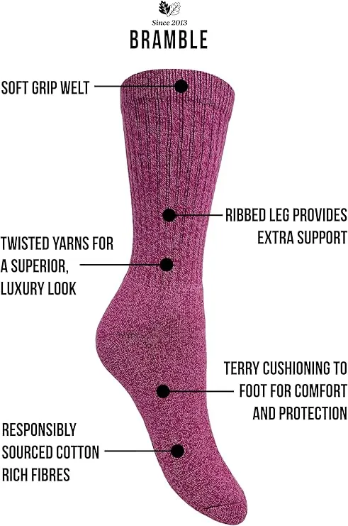 Bramble - Ladies All Terrain Socks with Biome Linseed | 3 Pairs