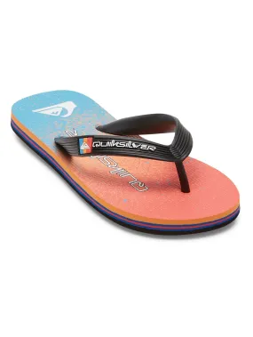 Quiksilver Boys Molokai Art II Flip Flops