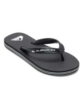 Quiksilver Boys Molokai Core Flip Flops