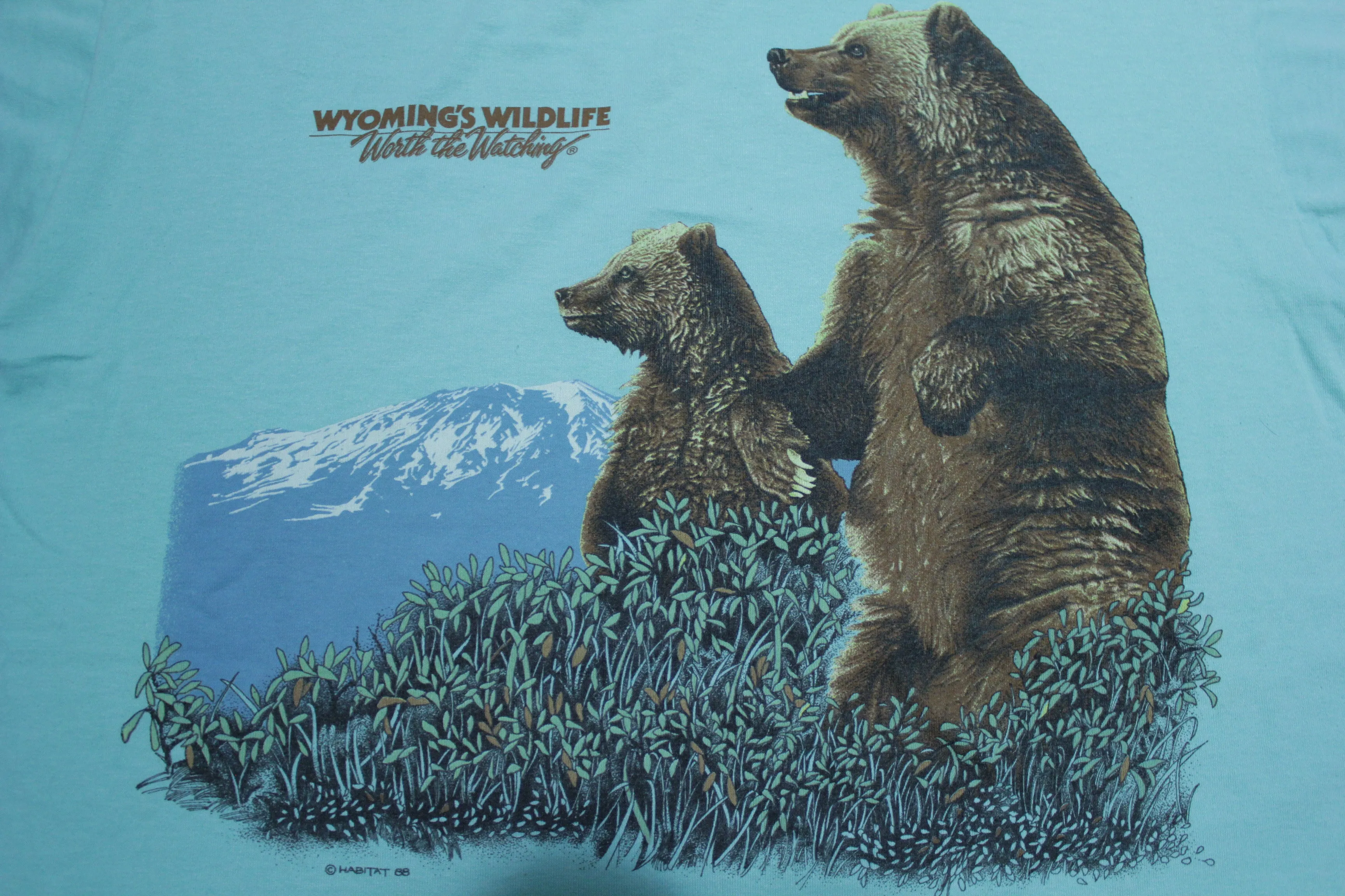 Wyoming Wildlife Worth Watching Vintage Grizzly Bear 1988 80's Screen Stars T-Shirt